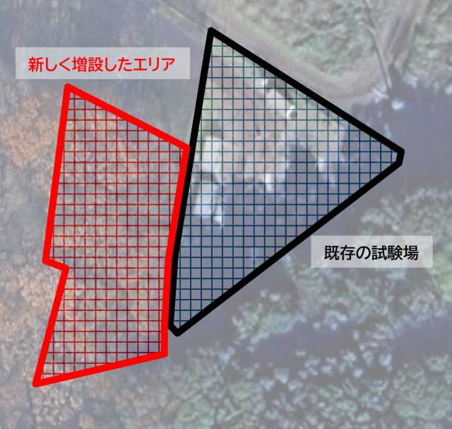 no8newarea.jpg